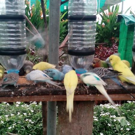 T Garden Villa Pantai Cenang  Eksteriør billede