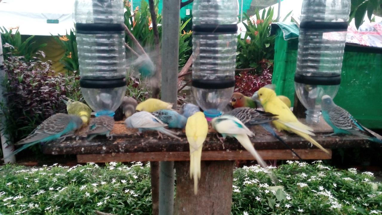T Garden Villa Pantai Cenang  Eksteriør billede