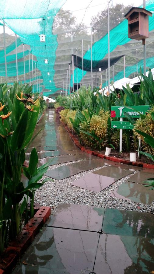 T Garden Villa Pantai Cenang  Eksteriør billede