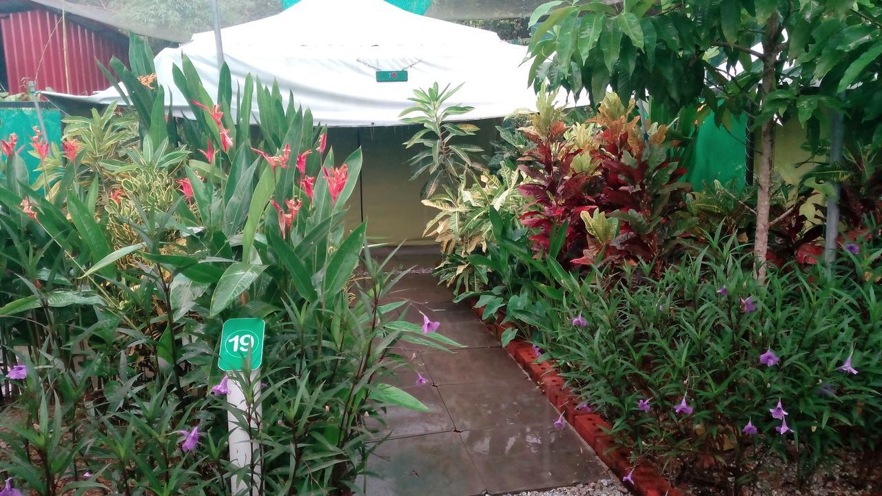 T Garden Villa Pantai Cenang  Eksteriør billede