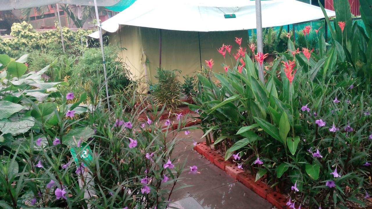 T Garden Villa Pantai Cenang  Eksteriør billede