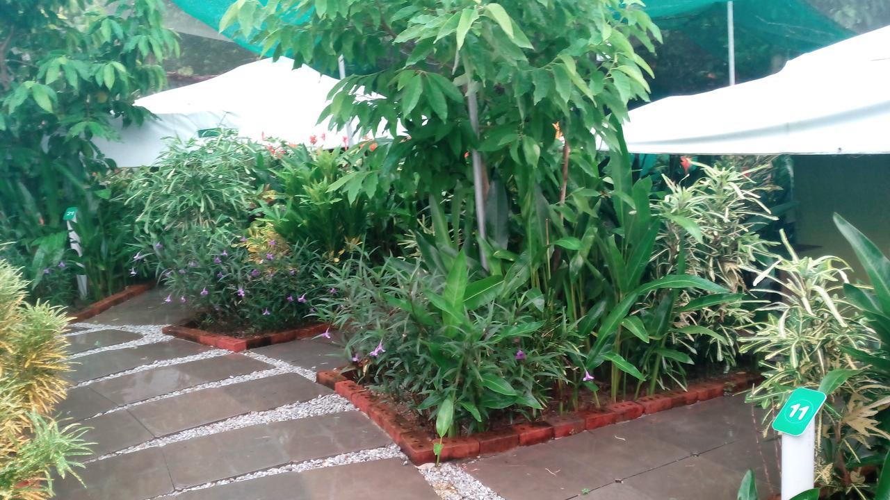 T Garden Villa Pantai Cenang  Eksteriør billede