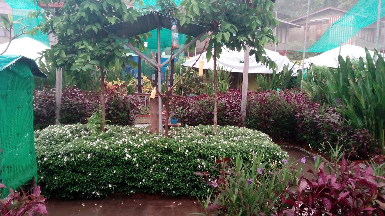 T Garden Villa Pantai Cenang  Eksteriør billede