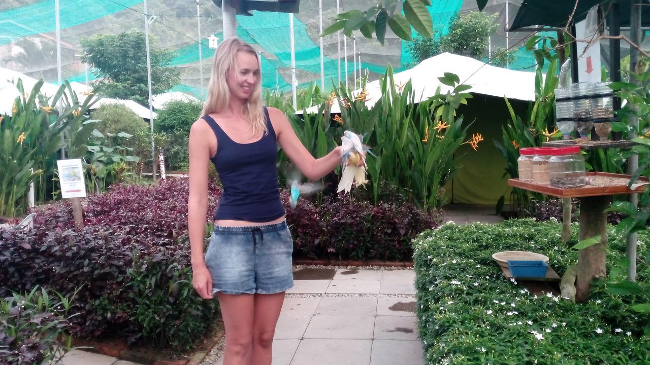 T Garden Villa Pantai Cenang  Eksteriør billede